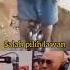 Asupan Meme Viral Shorts Memengakak Memelucu