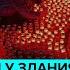 Акция Журавли памяти погибших в теракте в Крокус Сити Холле Москва 24 МЫВМЕСТЕ