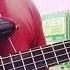 Naif Piknik 72 Bass Cover