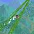 Don T Let This Happen To Your Plantera In Terraria Shorts