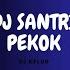 DJ SANTRI PEKOK JEDAG JEDUG