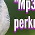 Mp3 Suara Burung Perkutut Lokal Untuk Pikat Dan Pancingan Bunyi Hobymanuk