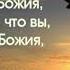 На чём основана уверенность в спасении П Н Елисеев МСЦ ЕХБ