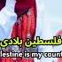 Malak Fathi Palestine Is My City Part 2 English Subtitles