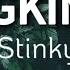 Mungkinkah Stinky Lagu Nostalgia Lirik Lagu