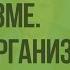 Системы органов в организме Уровни организации Видеоурок по биологии 8 класс