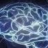 The Genius Mind Access 40 Hz Gamma Binaural Beat Maximize Cognition Focus Memory