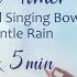 Reiki Timer Soft Rain And Quartz Crystal Bowls With 12 X 5 Min Bell Timers