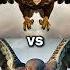 Eagle Vs Vultures Vs Falcon Crow Owl Seagull Duck Toucan Bird Macow Pigeon