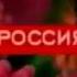 Рекламная заставка Россия лето 2008 Бабочка