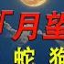 罕見 10月17號 月望 生肖兔 雞 蛇 狗要出大事 再忙再有錢也要看看 佛語 運勢 風水 佛教 生肖 佛語