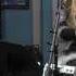 The Tierney Sutton Band It Ain T Necessarily So Live Studio Session