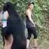 Woman Takes Selfie As Bear Sniffs Her Hair On Hiking Trail In Mexico