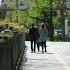 Bokeh Japan Walk Fresh Green In Early Summer In The City In Tokyo