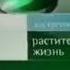 Оформление анонсов НТВ 09 10 2003