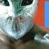 Starting Points Lucha Libre Mexican Wrestling