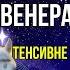 Венера в Стрільці 17 10 11 11 2024 Почуття Романтика Відносини