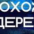 Похож на дерево я Детский хор Праздник жатвы Слово Спасения