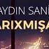 Aydın Sani Darıxmışam