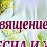 Весна и Женщина Ах как они похожи Милые красивые и любимые С наступающим праздником Весны