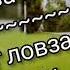 Дамаева макка дог ловза дуьлу 2021г Чеченская песня