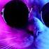 CUTEST Party Cat EVER With Sunglasses And Party Music Wallpaper Screensaver Background 4K 8 HOURS