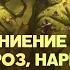 Нургл Фракции Total War Warhammer 3