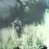 Crysis 3 They Call Me Prophet