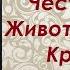 Воздвижение Честного и Животворящего Креста Господня Протоиерей Андрей Ткачев