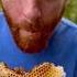 Fresh Honeycomb On A Stick Courtesy Of The Bees