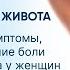 Боль внизу живота причины симптомы виды и лечение боли внизу живота у женщин