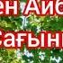 Поэзия Төлеген Айбергенов Сағыныш