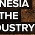 How China Took Over Indonesia S Nickel Industry To Fuel Its EVs