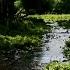 The Pleasant Murmur Of A Forest Stream 10 Hours Of Nature Sounds For Relaxation And Deep Sleep