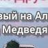 Море дикарями с Новой Палаткой приехали друзья поехали на мыс Сосновый на Альфе видели следы Медведя