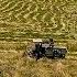 Harvesting Fescue Seed In Missouri