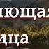 ВПЕРВЫЕ на YouTube СИЛА ИСЦЕЛЯЮЩАЯ СЕРДЦА Рассказ из жизни Христианские рассказы