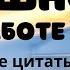 Смешно о работе Короткие цитаты фразы афоризмы