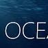 1 Hour Of Ocean With Thomas Newman