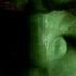 Hulk 2003 You Re Making Me Angry Scene 3 10 Movieclips