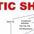 SHOCK Types Pathogenesis Of Septic Shock