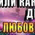 Диплом по некромантии или Как воскресить дракона Любовное фэнтези Сильвия Лайм Аудиокнига