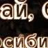 Валерий Сёмин Играй баян в Новосибирске Играй гармонь