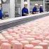 How This Factory Produces Millions Of Marshmallows Daily