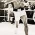 Mohamed Ali The Legend Whatsapp Status R E A L Slim Shady The Best Boxer In The World Shorts