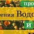 Евгений Жаринов про Евгения Водолазкина и Дмитрия Быкова