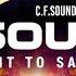 C F Sounds Feat Picnic Republic Don T Want To Say Goodbye