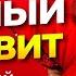 АНГЛИЙСКИЙ АЛФАВИТ Учим Английские Буквы C и D Уроки Английского Для Детей English Alphabet Урок 2