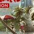 Прохождение Dead Island Definitive Edition Часть 11 Рожденный дикарем