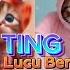 TANG TING TUNG VERSI KUCING LUCU DAN KAWAN KAWAN TERBARU